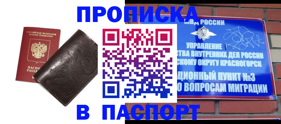 миграционный учет в Дальнегорске